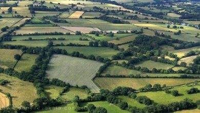 کشف تصرف اراضی ملی