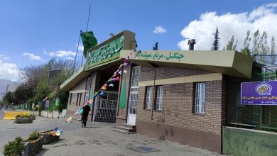 انحلال سازمان منابع طبیعی