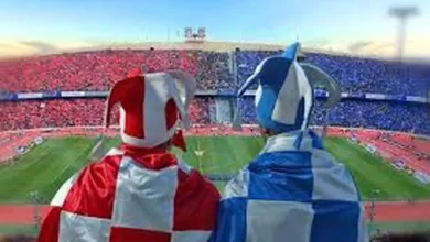 سرخابی‌ها در یک قدمی خصوصی‌سازی