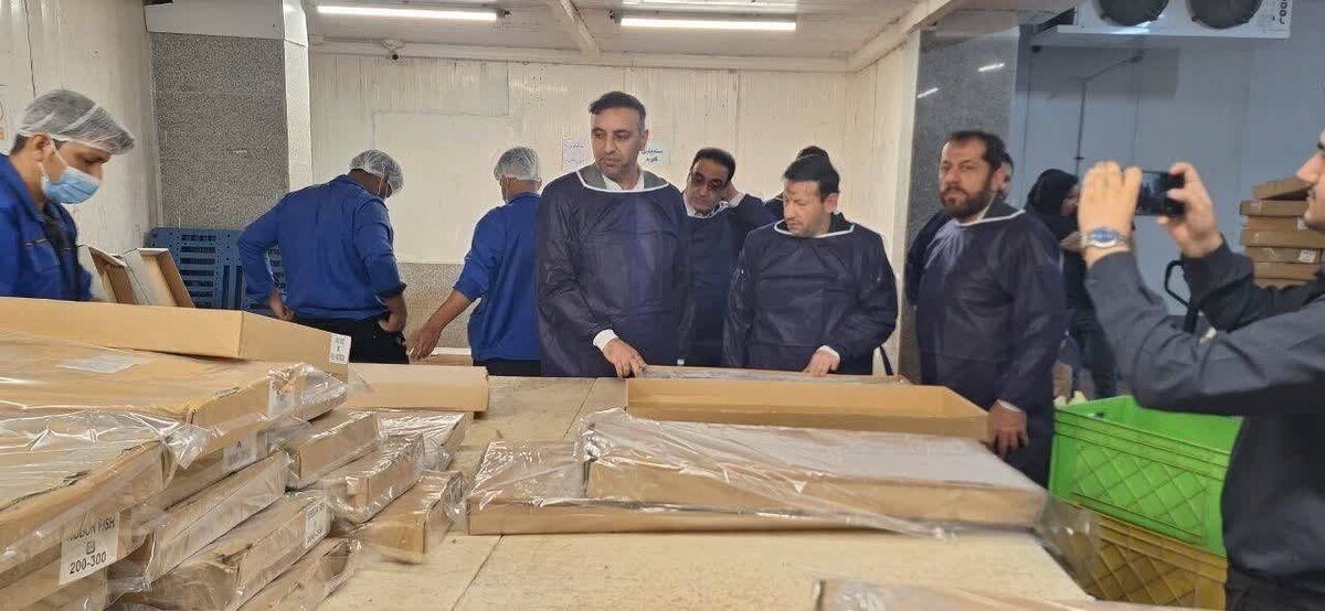 دادگستری استان بوشهر