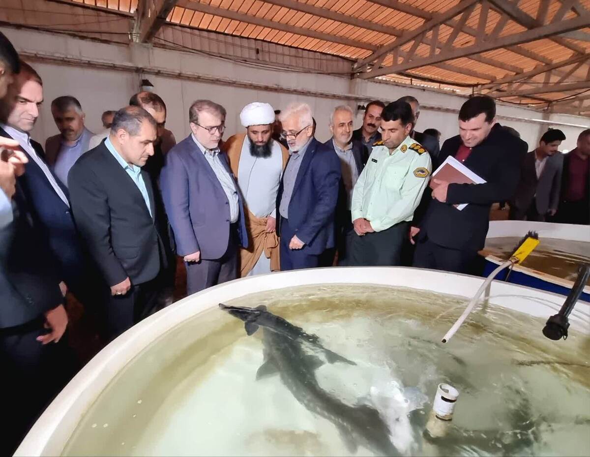 دادگستری مازندران