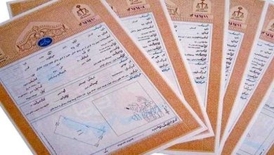 تمامی اراضی ملی استان سمنان سند تک‌برگ گرفتند