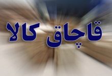 دام قاچاق در قشم