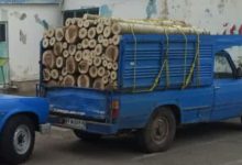 چوب قاچاق در تبریز